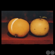 Obra de Sebastián Díaz